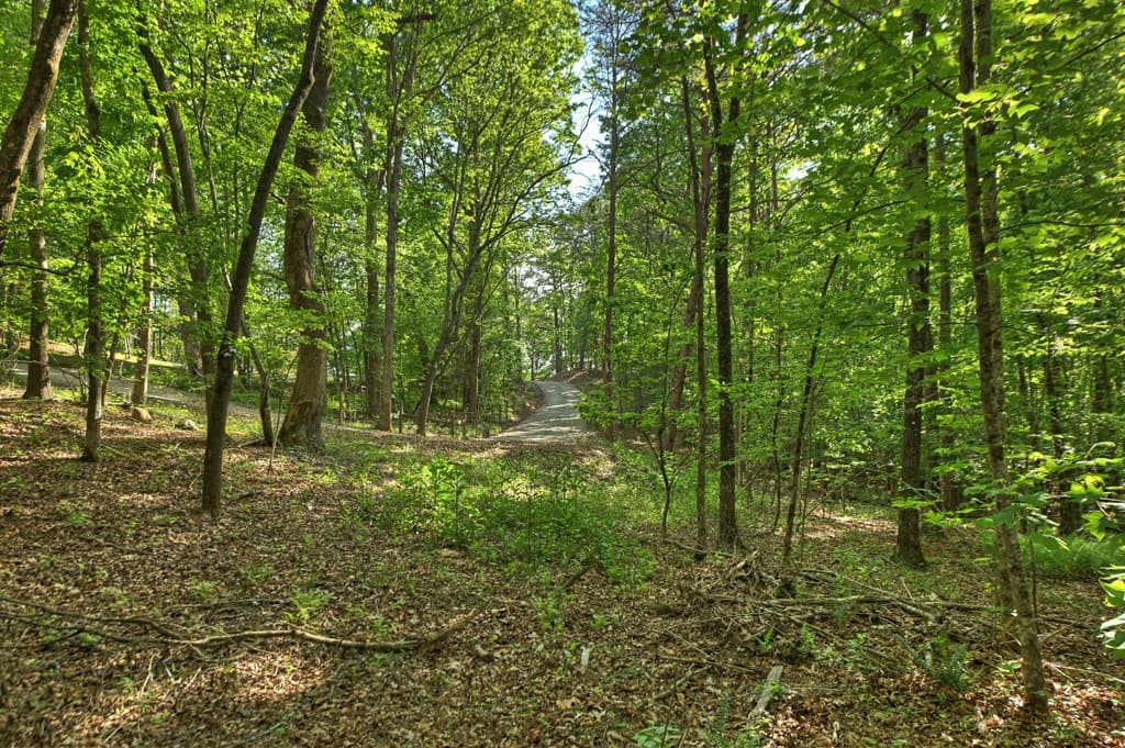 8.52 AC Mcnelley Road, Morganton GA 30560 - Photo