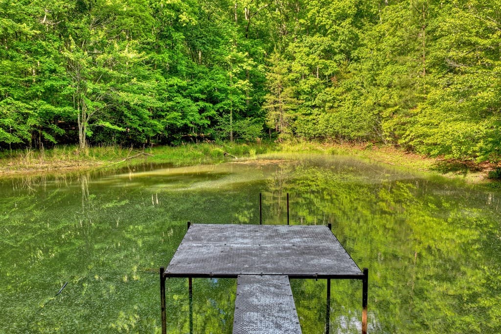 8.52 AC Mcnelley Road, Morganton GA 30560 - Photo