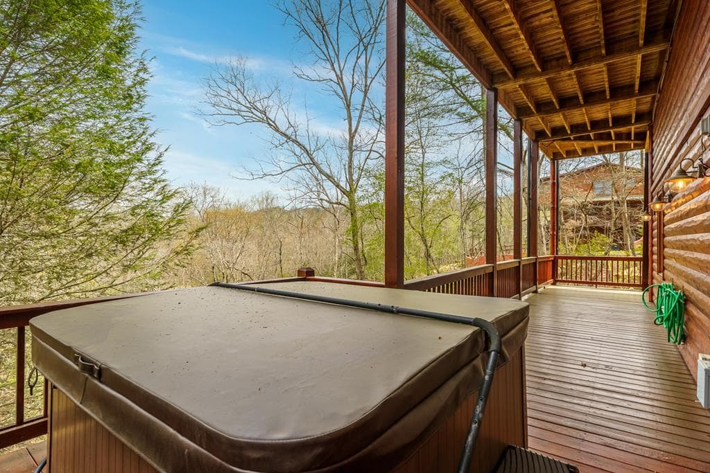 133 Dallas Lane, Blue Ridge GA 30513 - Photo