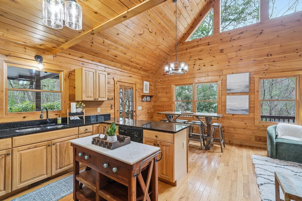 133 Dallas Lane, Blue Ridge GA 30513 - Photo