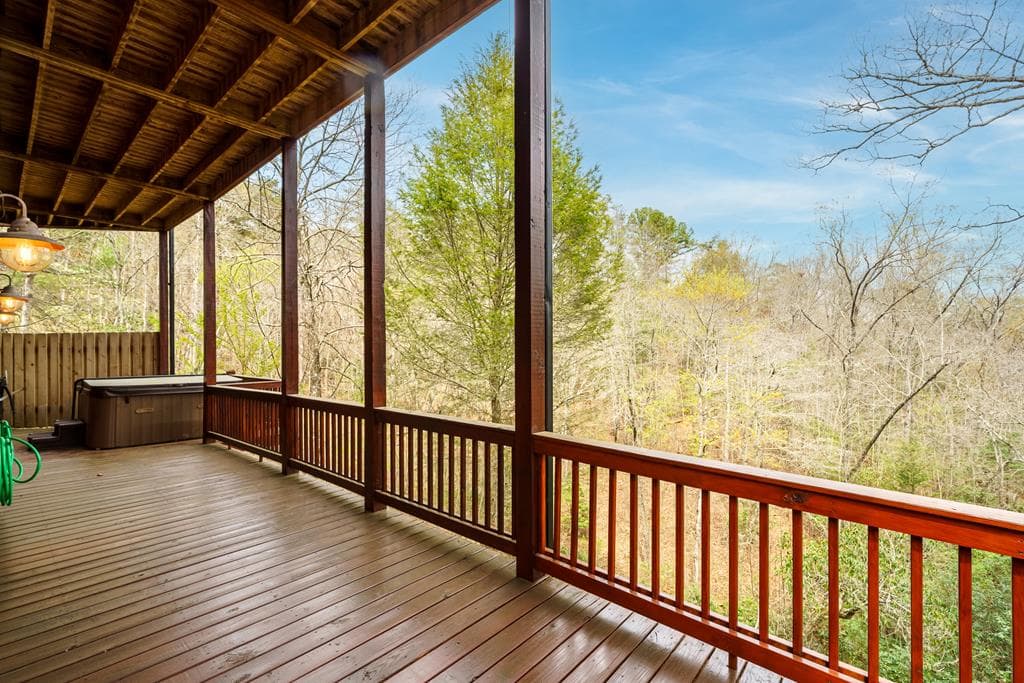 133 Dallas Lane, Blue Ridge GA 30513 - Photo