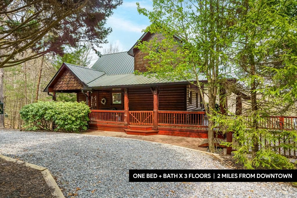 133 Dallas Lane, Blue Ridge GA 30513 - Primary photo