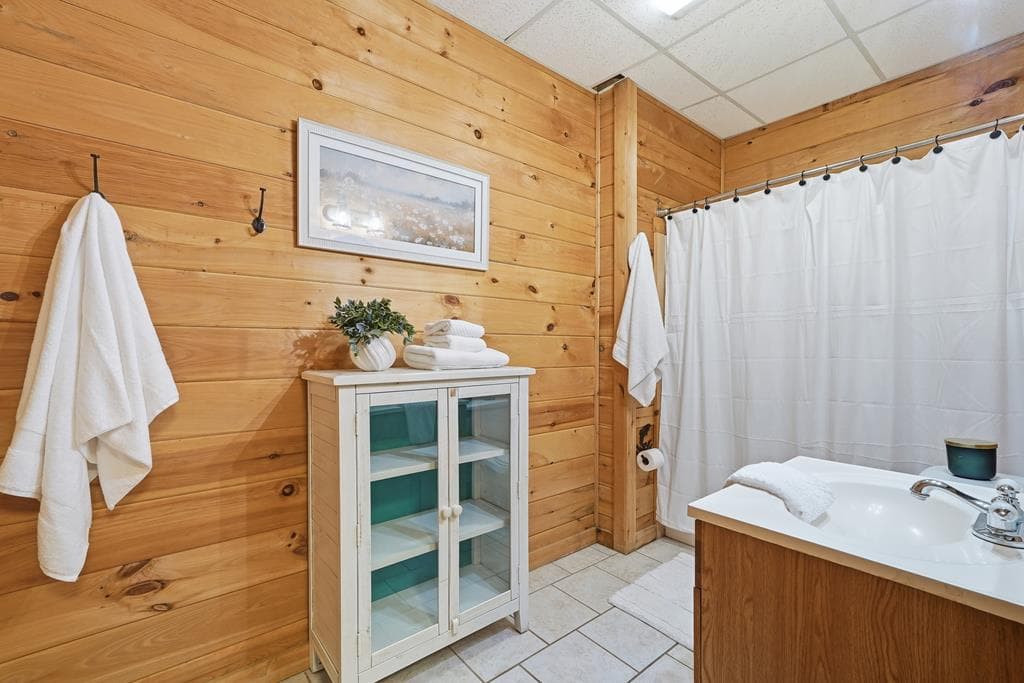 133 Dallas Lane, Blue Ridge GA 30513 - Photo