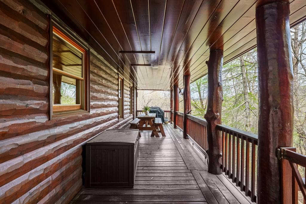 133 Dallas Lane, Blue Ridge GA 30513 - Photo