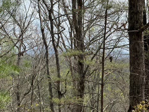 22 & 26 Ao Lane, Morganton GA 30560 - Photo