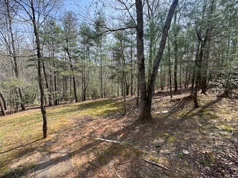 22 & 26 Ao Lane, Morganton GA 30560 - Photo