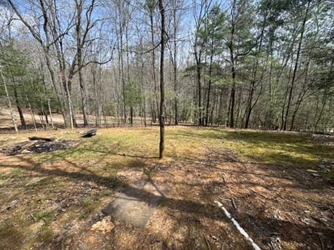22 & 26 Ao Lane, Morganton GA 30560 - Photo