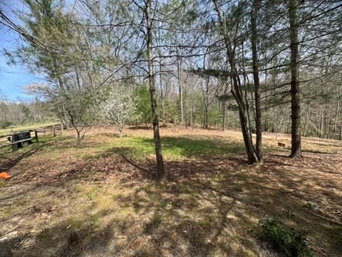 22 & 26 Ao Lane, Morganton GA 30560 - Photo