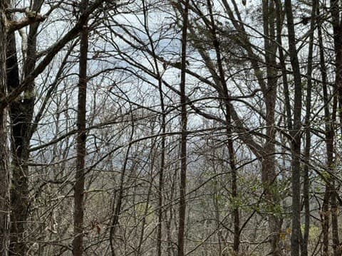 22 & 26 Ao Lane, Morganton GA 30560 - Photo