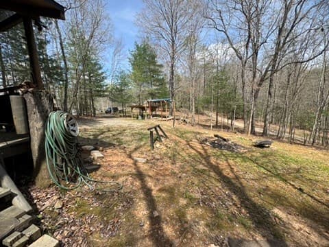 22 & 26 Ao Lane, Morganton GA 30560 - Photo
