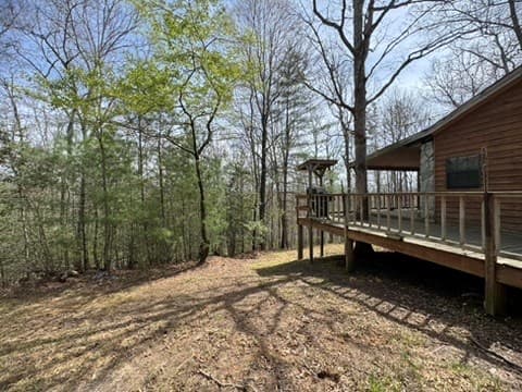 22 & 26 Ao Lane, Morganton GA 30560 - Photo