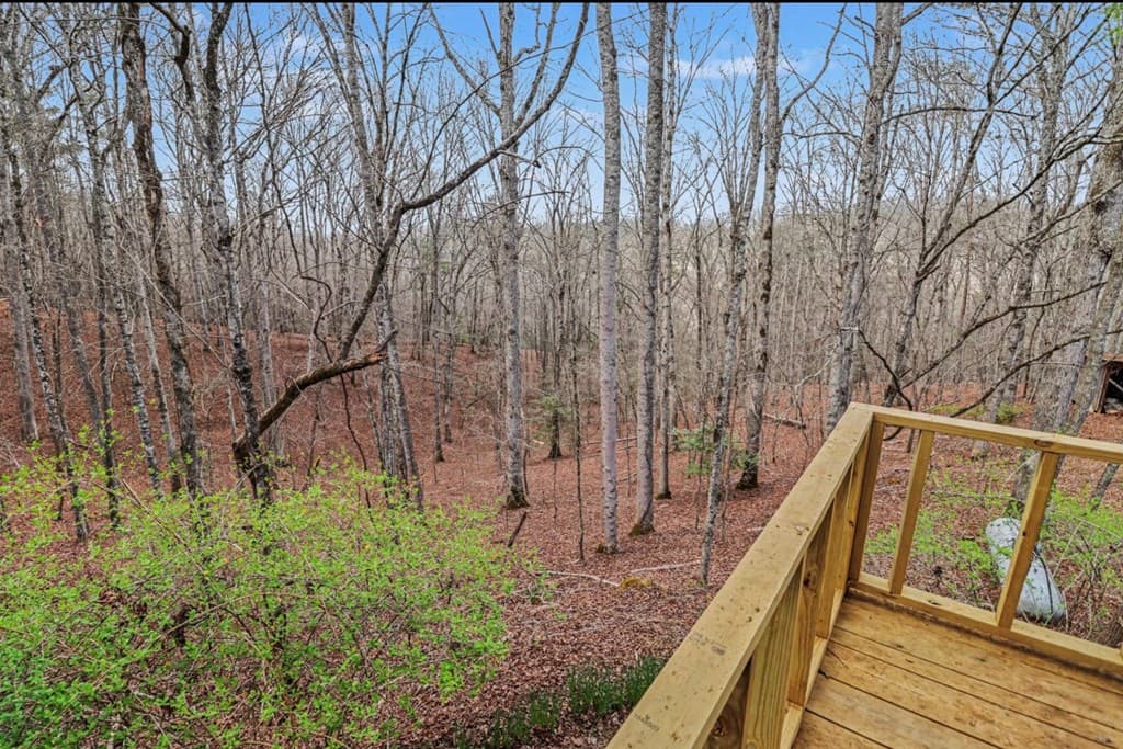 5077 Ada Street, Blue Ridge GA 30513 - Photo