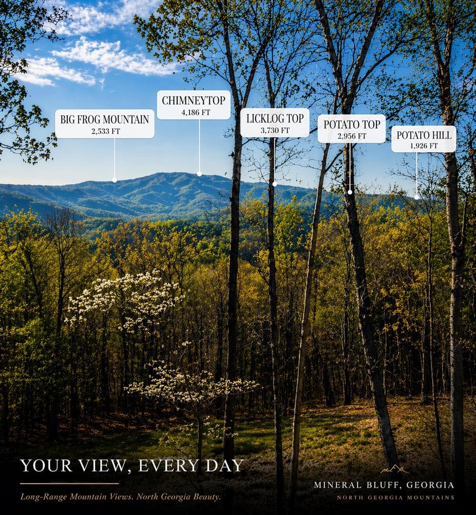 560 Endless View Road, Mineral Bluff GA 30559 - Photo