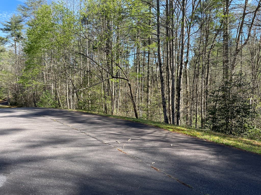 Lot 89 Spectacular, Hayesville NC 28904 - Photo