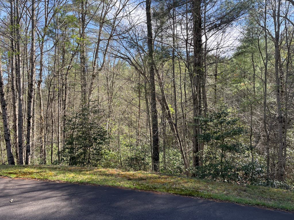 Lot 89 Spectacular, Hayesville NC 28904 - Photo