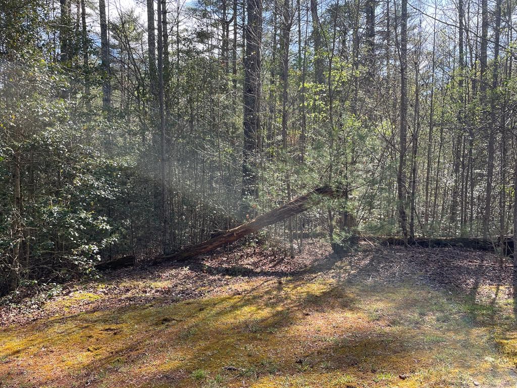 Lot 89 Spectacular, Hayesville NC 28904 - Primary photo