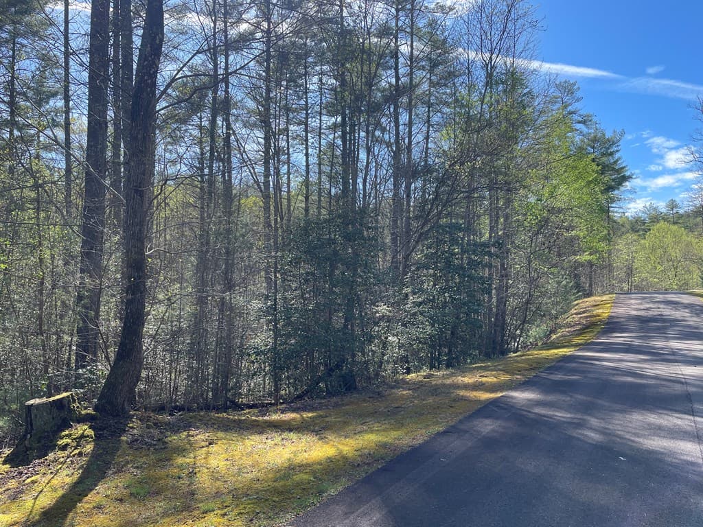 Lot 89 Spectacular, Hayesville NC 28904 - Photo
