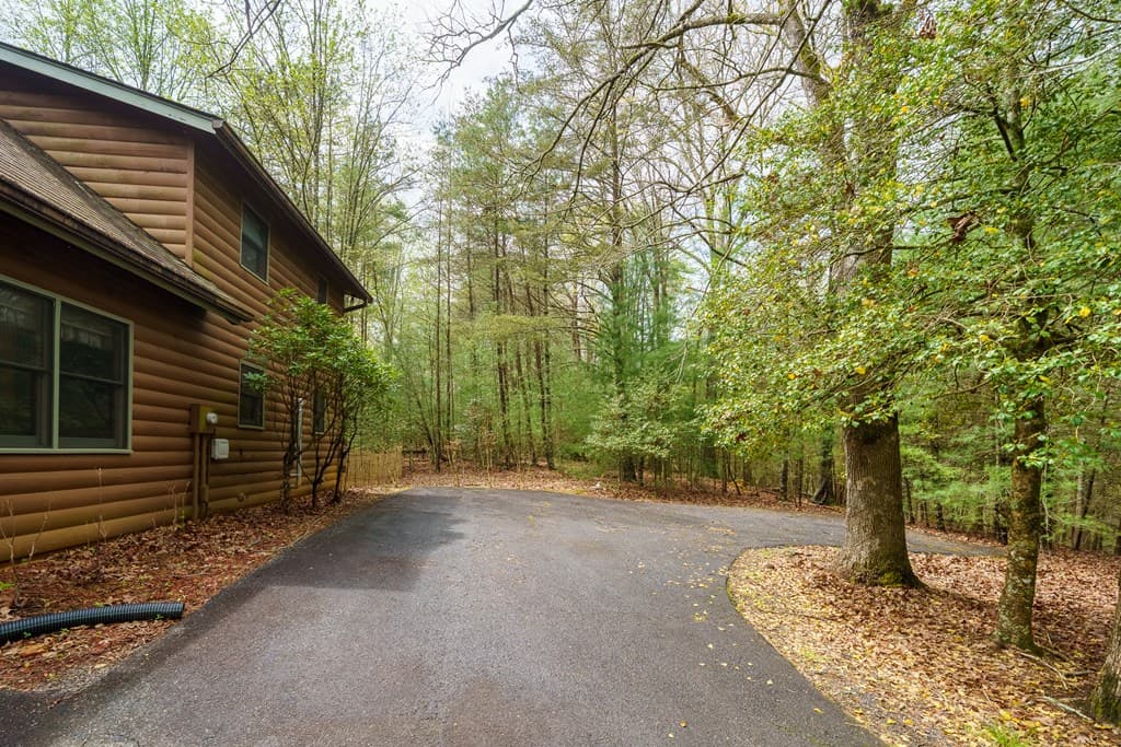 238 Cedar Ridge Road, Cherry Log GA 30522 - Photo