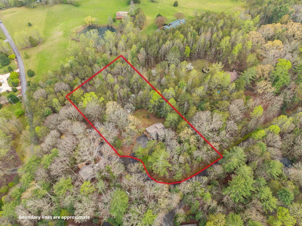 238 Cedar Ridge Road, Cherry Log GA 30522 - Photo