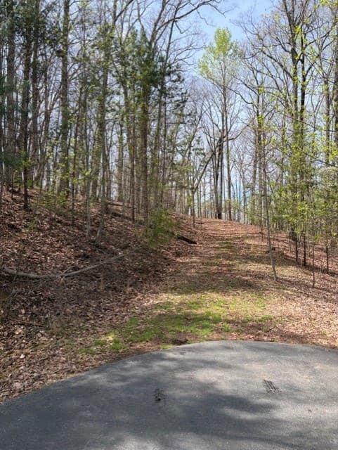 0 Brumby Run, Blairsville GA 30512 - Photo