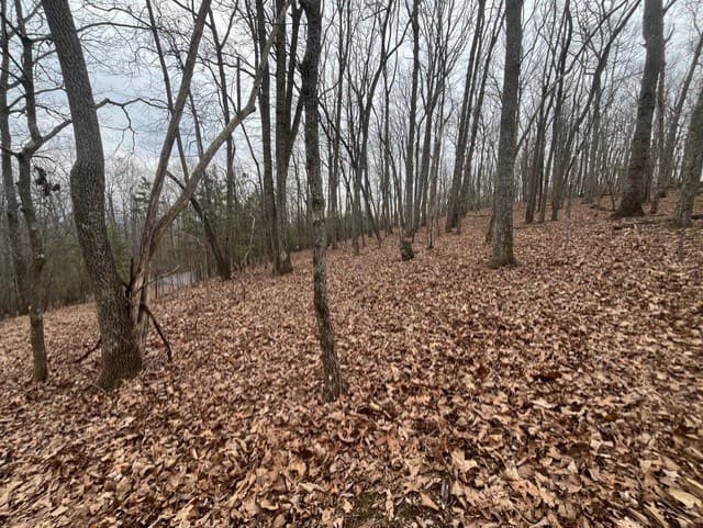0 Brumby Run, Blairsville GA 30512 - Photo