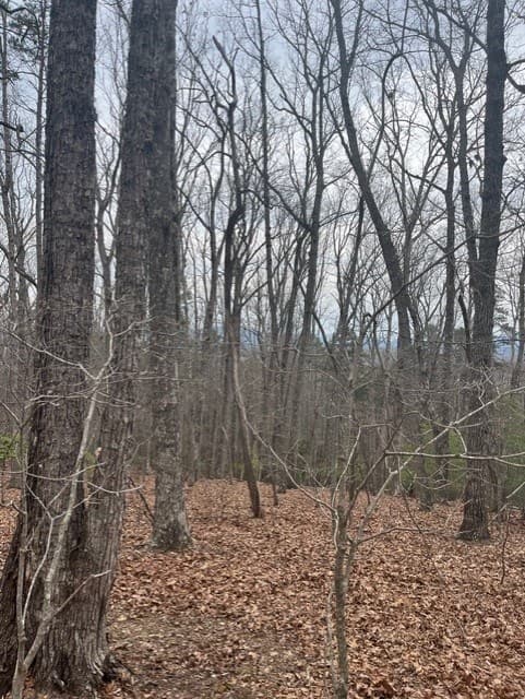 0 Brumby Run, Blairsville GA 30512 - Photo