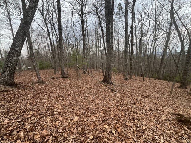 0 Brumby Run, Blairsville GA 30512 - Photo
