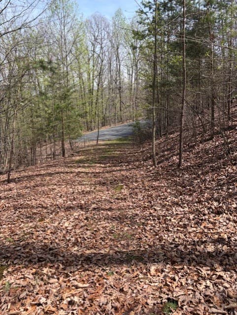 0 Brumby Run, Blairsville GA 30512 - Photo