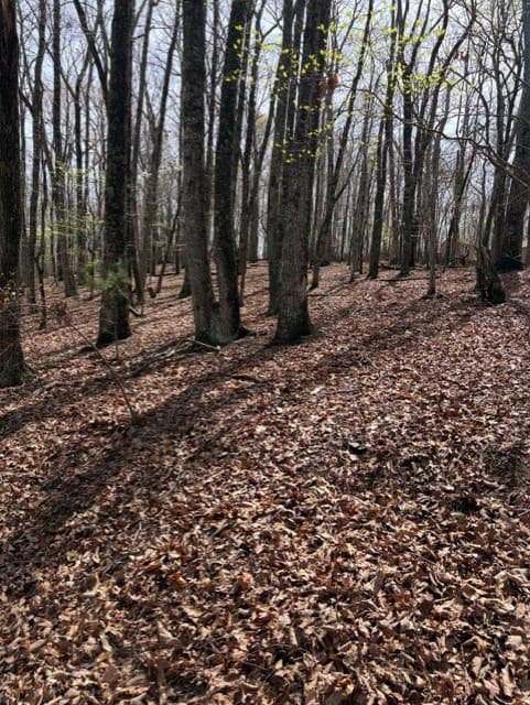 0 Brumby Run, Blairsville GA 30512 - Photo