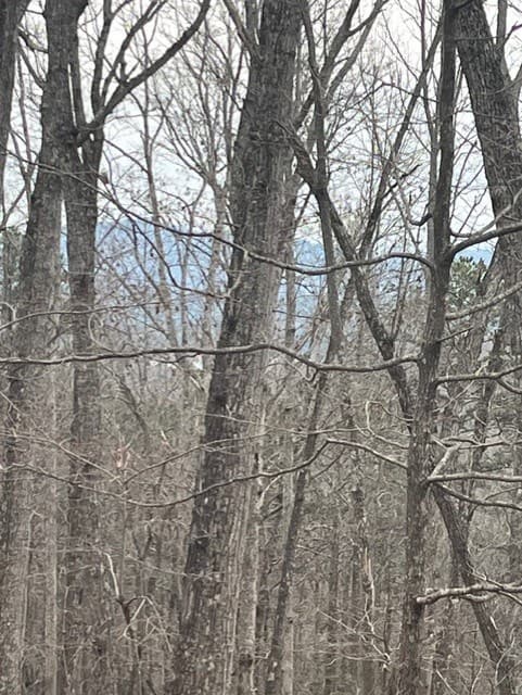 0 Brumby Run, Blairsville GA 30512 - Photo
