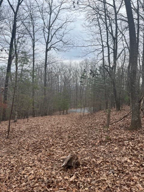 0 Brumby Run, Blairsville GA 30512 - Photo