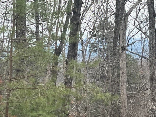 0 Brumby Run, Blairsville GA 30512 - Photo