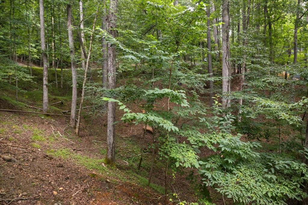 129 Monticello Drive, Ellijay GA 30540 - Photo