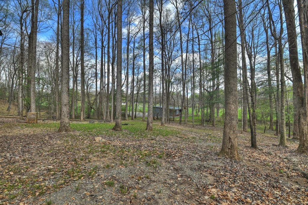 186 Stegall Mill Trail, Ellijay GA 30536 - Photo