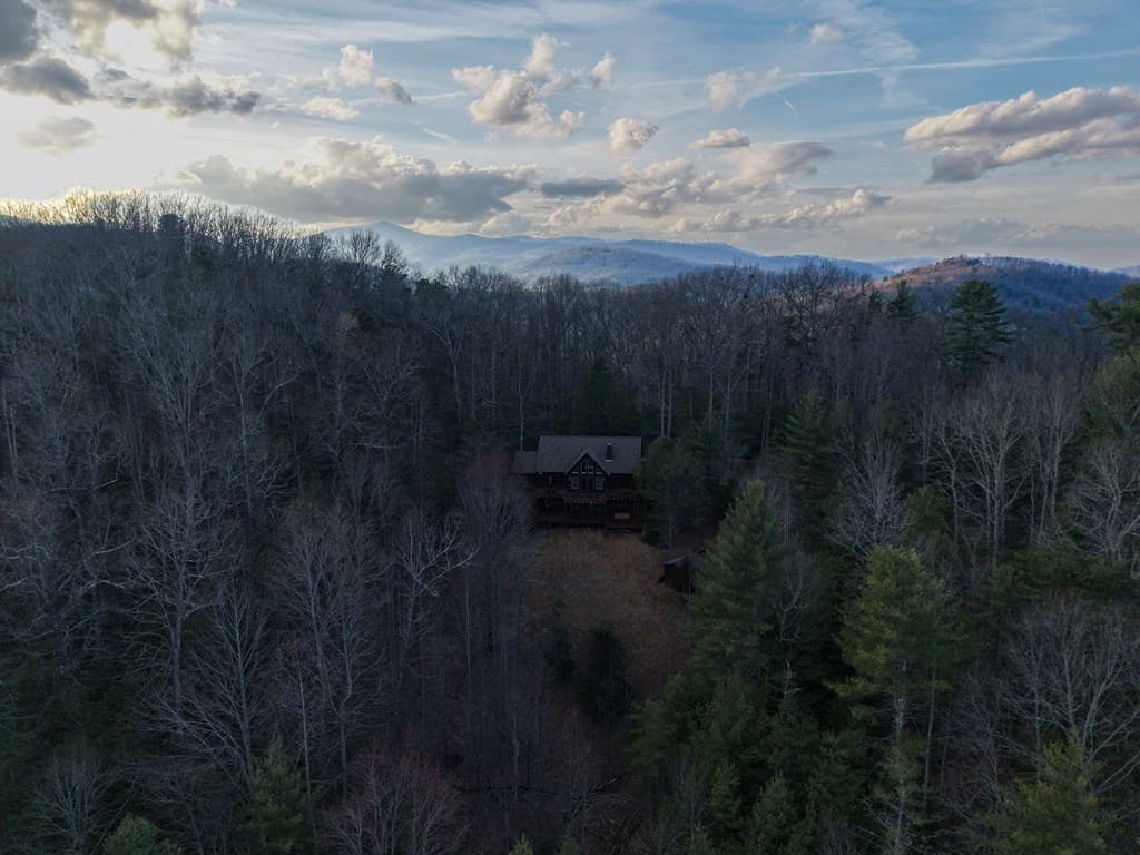 269 Little Creek Drive, Cherry Log GA 30522 - Photo