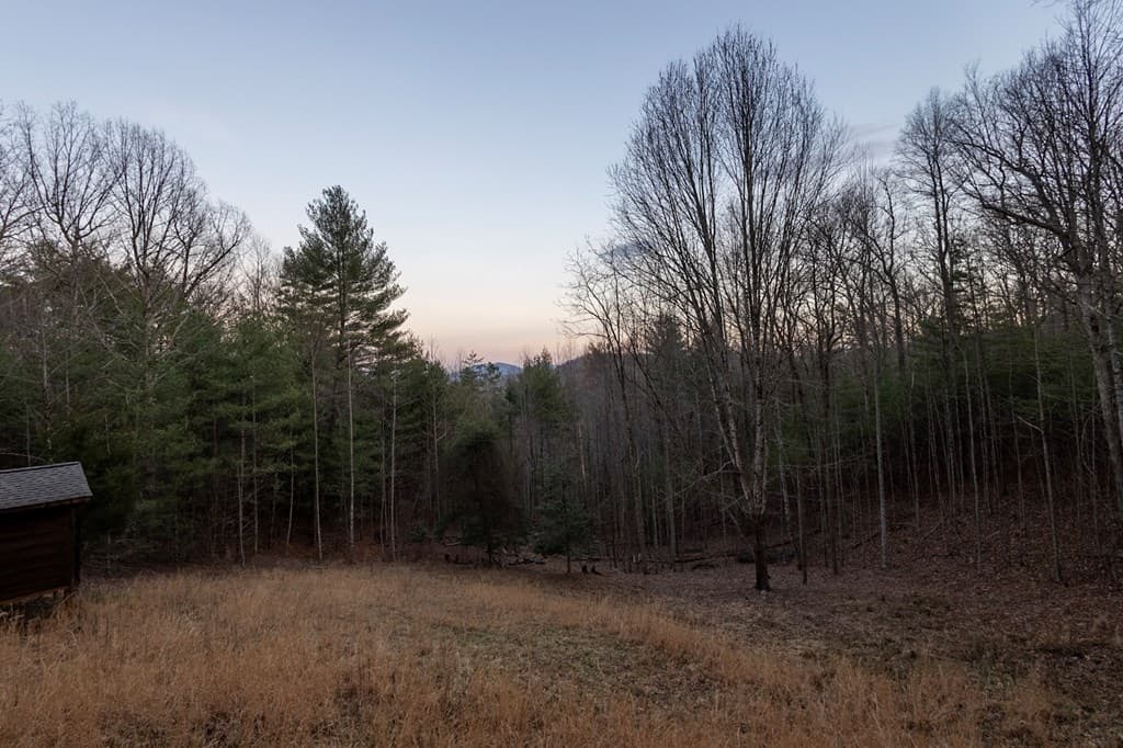 269 Little Creek Drive, Cherry Log GA 30522 - Photo