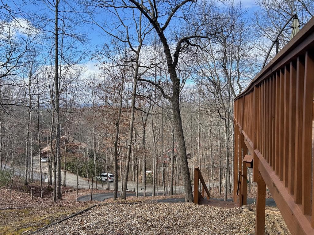 39 Thomas Ridge Lane, Blairsville GA 30512 - Photo
