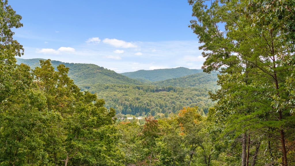 Lot 88 Split Creek Road, Morganton GA 30560 - Photo