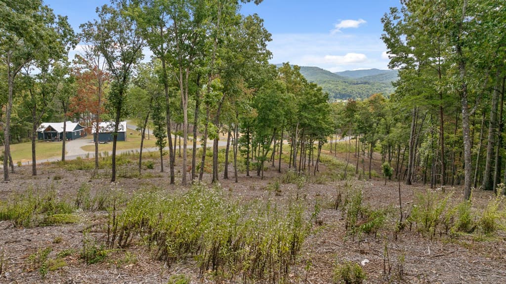 Lot 88 Split Creek Road, Morganton GA 30560 - Photo
