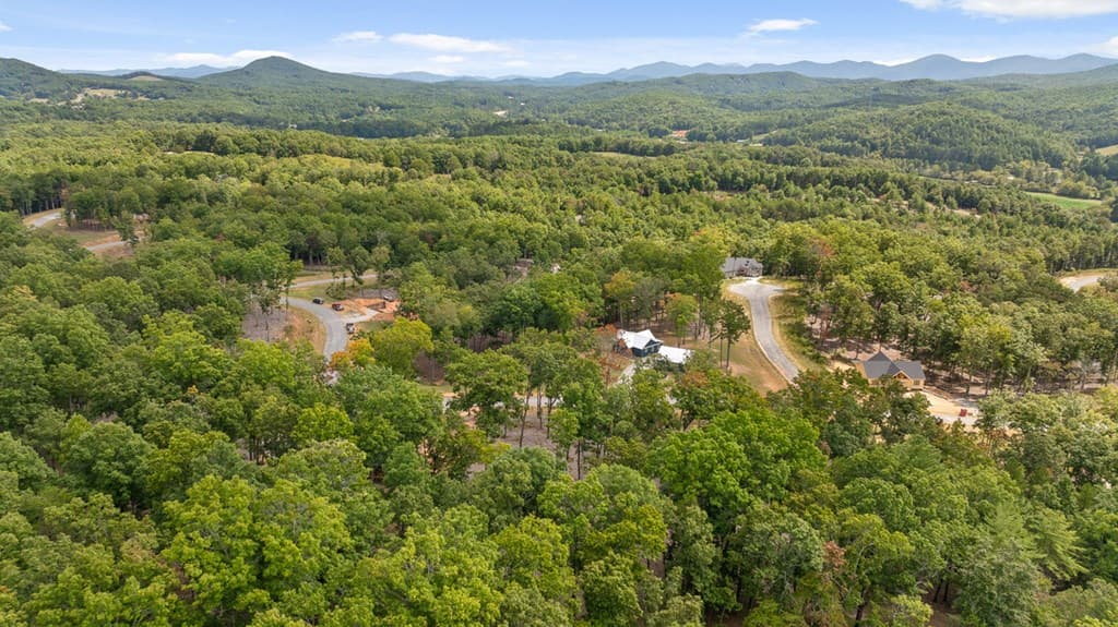 Lot 88 Split Creek Road, Morganton GA 30560 - Photo