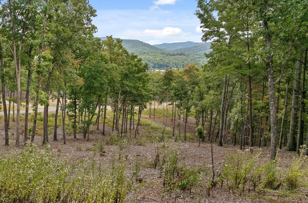 Lot 88 Split Creek Road, Morganton GA 30560 - Primary photo