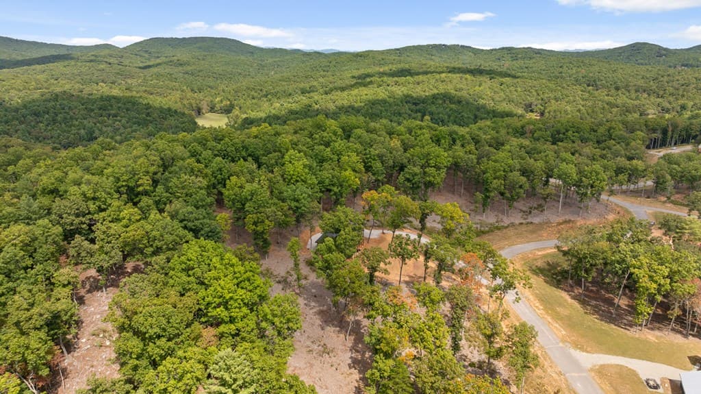 Lot 88 Split Creek Road, Morganton GA 30560 - Photo