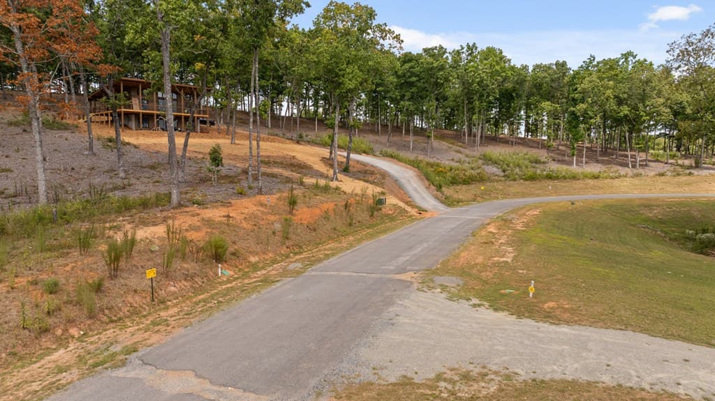 Lot 88 Split Creek Road, Morganton GA 30560 - Photo
