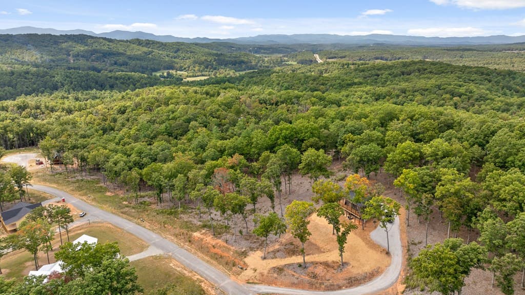 Lot 88 Split Creek Road, Morganton GA 30560 - Photo