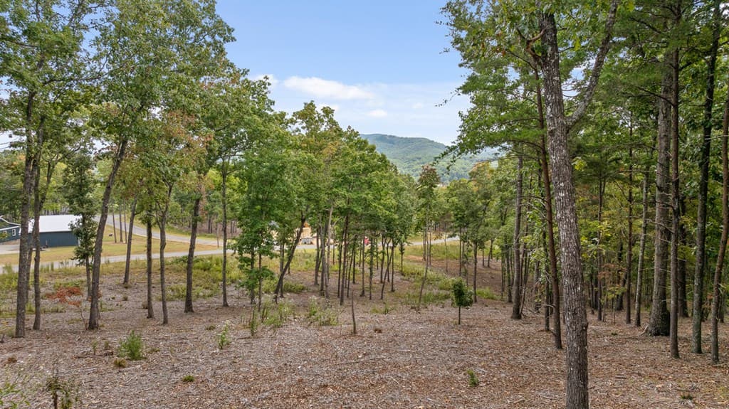 Lot 88 Split Creek Road, Morganton GA 30560 - Photo
