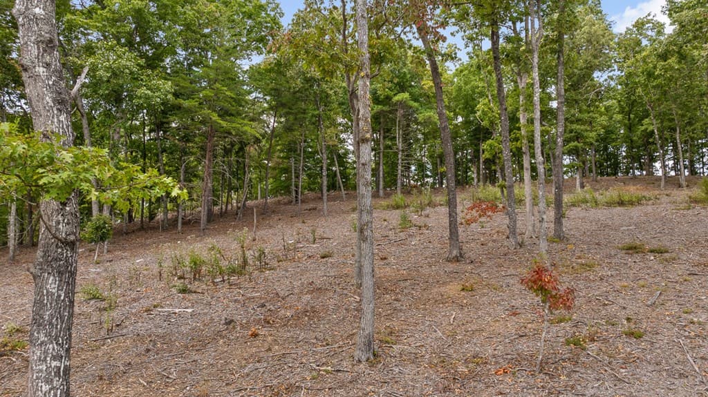 Lot 88 Split Creek Road, Morganton GA 30560 - Photo