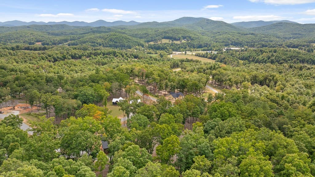 Lot 88 Split Creek Road, Morganton GA 30560 - Photo