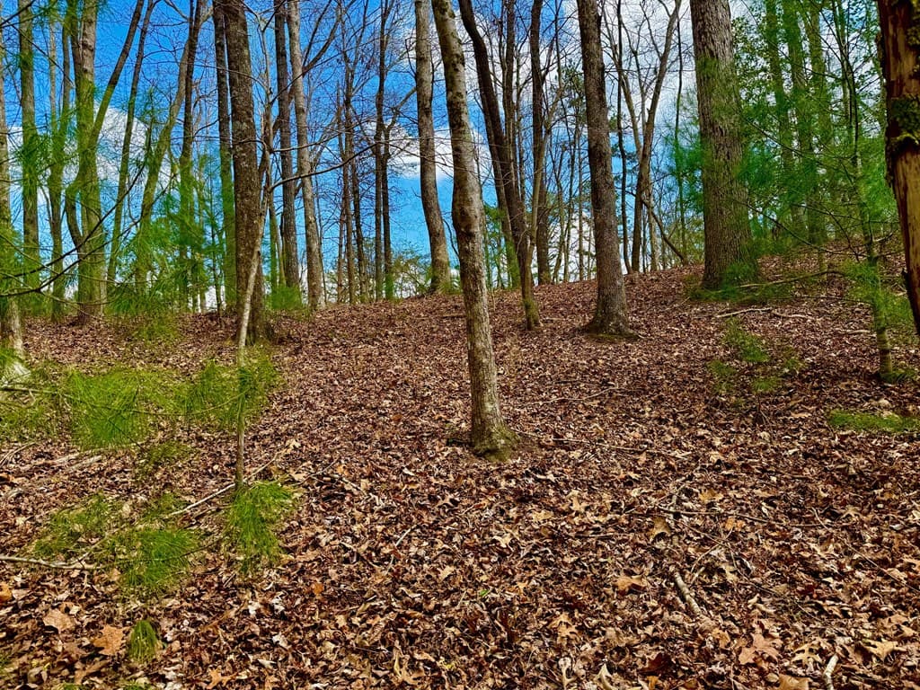 739 Hiawassee Court, Ellijay GA 30540 - Photo