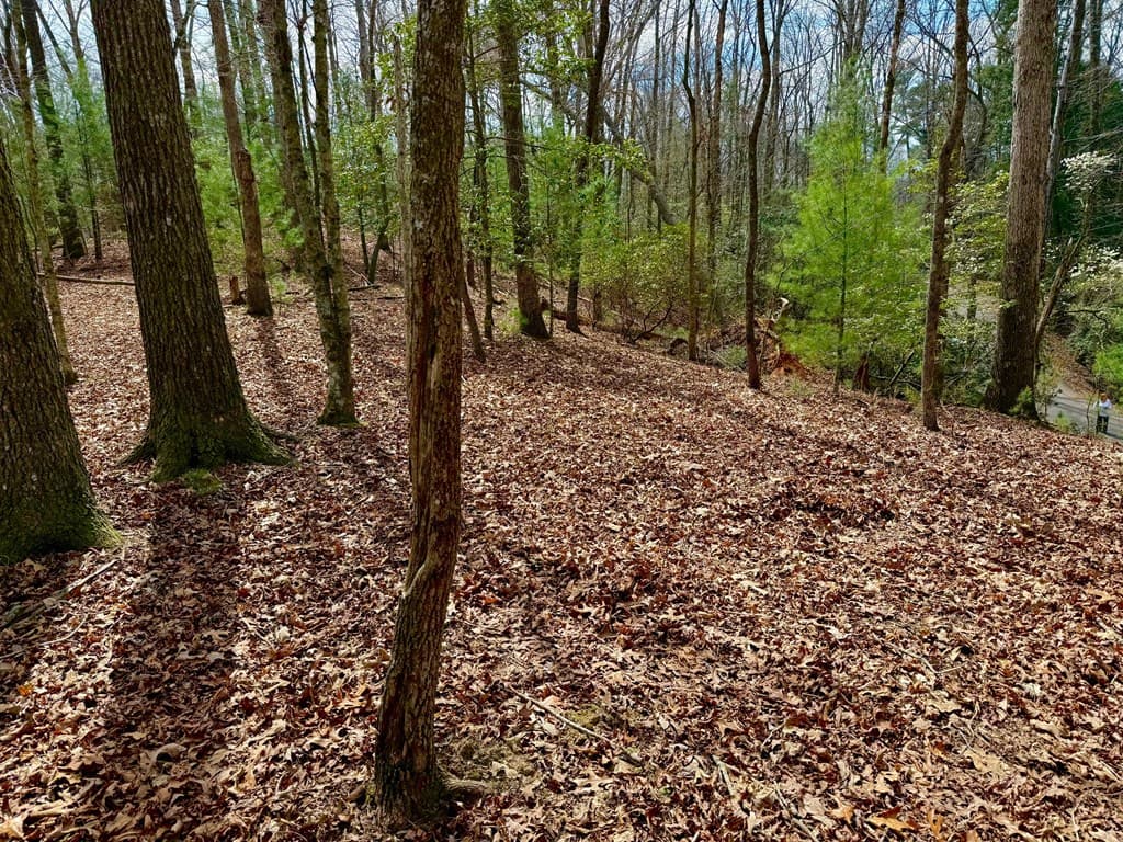 739 Hiawassee Court, Ellijay GA 30540 - Photo