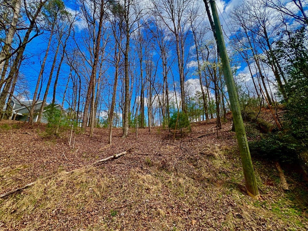 739 Hiawassee Court, Ellijay GA 30540 - Photo